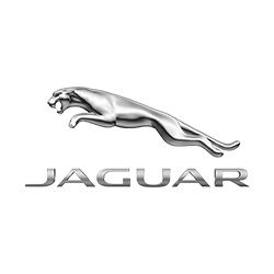 JAGUAR JAGUAR